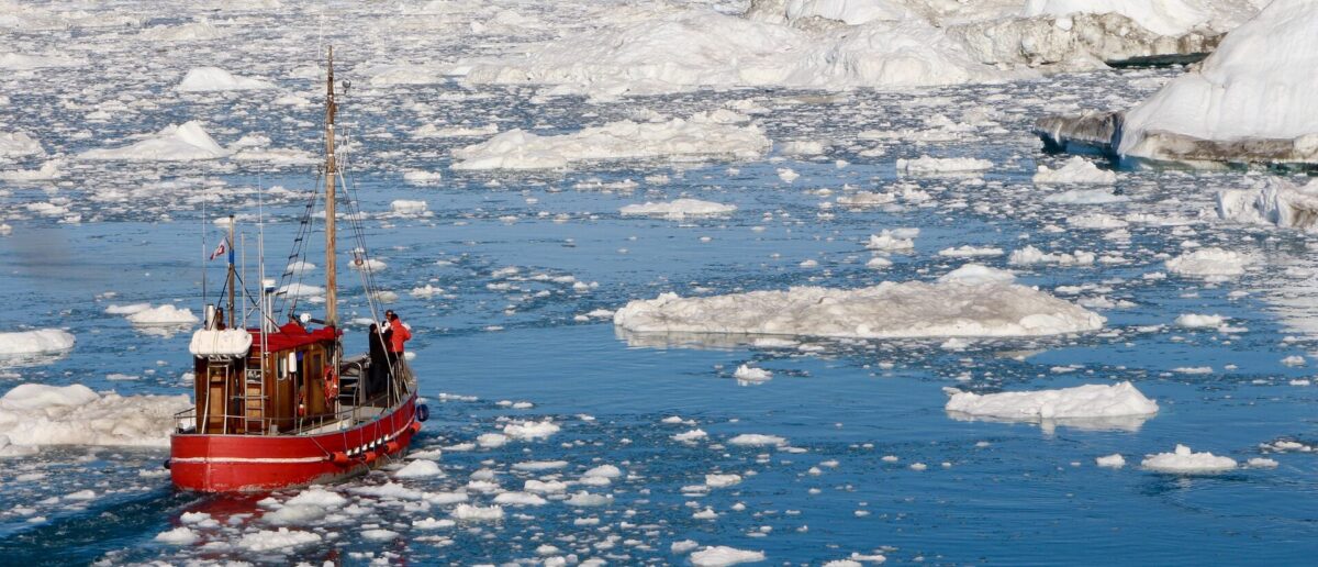 gronelandia gronelândia nuuk capital urso polar ursos polares raposas do ártico baleias orcas islandia islândia disco bay illulisat icebergs icebergues glaciar husky huskies trenó treno trenós ártico paamiut gronelandia, igreja, polo norte, artico, paises nordicos