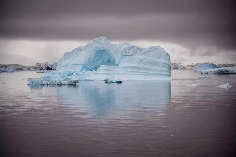 gronelandia islandia jokulsarlon lagoa glaciar icebergue iceberg gelo foca zodiac amphibian boat tour gronelândia nuuk capital urso polar ursos polares raposas do ártico baleias orcas islandia islândia disco bay illulisat icebergs icebergues glaciar husky huskies trenó treno trenós ártico