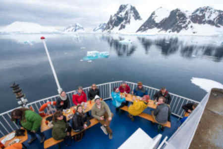 antarctica 03 paralax penguin antarctica cruise cruises antarctica expedition punta arenas glacier patagonia 6-day antarctica cruise