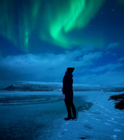 Tours in Iceland: glacier hike, ice cave, northern lights, south coast ...